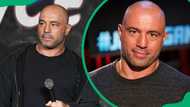 The best Joe Rogan podcasts ever: Top 11 unmissable episodes