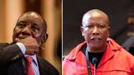 Brazil based hackers threaten to leak President Cyril Ramaphosa and Julius Malema's personal info online