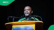 Gwede Mantashe reprimands ANC councillors, sparking mixed reactions by saying they lack capacity