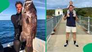 "What a horrific way to die": Australian fisherman dies after being attacked by shark, SA astonished