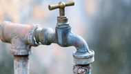 SAMWU strike: Plans in place, Rand Water says taps won't run dry