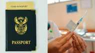 Covid 19: Vaccine passport system may exclude unvaccinated people from attending major events