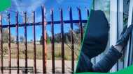 Suspected Pretoria tsotsi dies on fence after allegedly stealing Mackbooks and iPhones