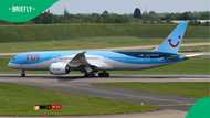 Stowaway snake found on commercial 9-hour TUI flight from Mexico to London