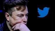 Elon Musk officially becomes owner of Twitter and fires execs, Mzansi peeps happy: "Freedom of speech is back"