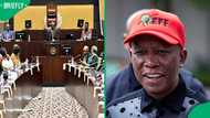 Impeachment Committee to oppose EFF court bid over Griffiths Madonsela's removal as evidence leader
