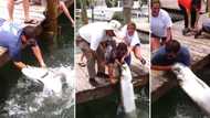 Video of man’s arm getting eaten by giant fish gets 5.8 million views, people are horrified