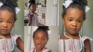 Little girl screams in hilarious video after finally watching her own makeup in mirror