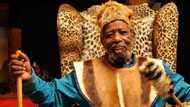 Joe Mafela family members and pictures