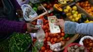 Argentina monthly inflation highest in two decades