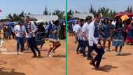 Limpopo wedding party butchers dance step, TikTok video has Mzansi busting