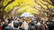 Japan's economy shrinks unexpectedly in third quarter