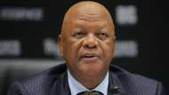 "This is a PR stunt": SA thinks Jeff Radebe is not the right man to send to Eswatini