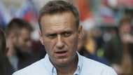 Alexei Navalny story: Meet Vladimir Putin's fierce critic