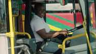 Sharp lady: Inspiring photo of woman living her childhood dream as bus driver emerges; many react