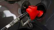 Looming fuel crisis raises concerns for economists: "Time to start riding bikes"