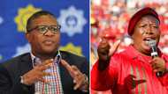 Mzansi compares Mbalula and Malema after the SG's powerful speech about firing underperforming ANC leaders