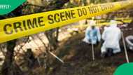 12 year-old boy in Bedford shot for allegedly stealing nuts