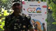 G20: India's New Delhi readies for global summit