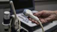 AI better than humans at key heart test: study