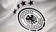 Berlin says German FA lacks 'patriotism' for dropping Adidas