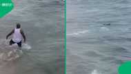Video: Swimmers take risk near sharks at Umhlanga Rocks Beach sparks debate