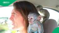 The Da extends condolences to the family, friends and colleagues of Steve Smit, KZN ‘Monkey Man’
