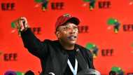 EFF says land expropriation without compensations is a non-negotiable for coalition partners