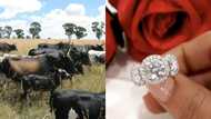 Lobola or engagement first: Mzansi debates century-old custom