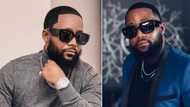 Yoh: Mzansi gives brutal feedback to Cassper’s sneaker range