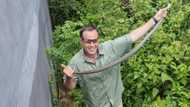 Yikes! Nick Evans finds 3 Mozambique spitting cobras in Chatsworth home, 1 pregnant