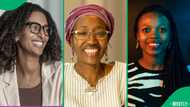 "SA women making an impact": Three African entrepreneurs lead change across the continent