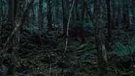 Top 30 most haunted places in the world you should never visit