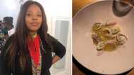Woman shows off meals served at fancy restaurant, odd dishes have Mzansi cracking jokes: “is it decoration?”