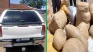 Middleburg flying squad busts 2 foreign nationals transporting R3 million worth of dagga to Joburg