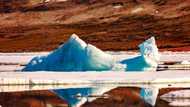Arctic warming four times faster than rest of Earth: study