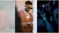 I live for this: Fans go wild as Wizkid shutdown concert in News York City