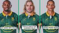 TikTok video shows the names of Springboks players used in popular Mzansi hit songs, SA loves it