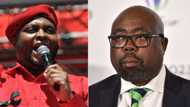 Floyd Shivambu criticises Thulas Nxesi for SA unemployment, netizens call out body shaming