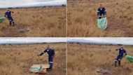 Terrified farm workers release massive python, video has Mzansi in stitches