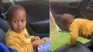 Cuteness overload: Adorable little boy wins Mzansi over with his sweet manners in video, Gigi Lamayne reacts