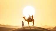6 reasons to visit Dubai these winter school holidays