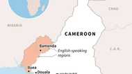 Cameroon troops 'summarily killed' 10 in crackdown: HRW