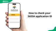 How to check your SASSA application ID: A quick guide