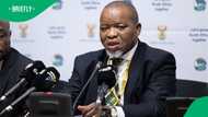 Gwede Mantashe lays charges against Zakhele Zuma over theft claims, says he's linked with MK Party