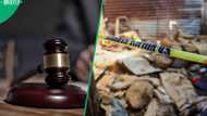 Former SANDF member sentenced to 18 years for murdering girlfriend in Limpopo