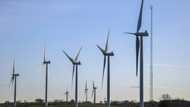 Europe must reduce China renewable dependence: agency