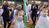 TikTok video of Limpopo MC leading wedding dance routine has women shooting their shot