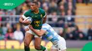 Damian Willemse embraces utility role as Springboks eye November wins