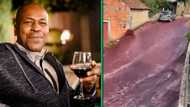 Mzansi wants in on free alcohol after Portuguese town flooded with wine after distillery disaster